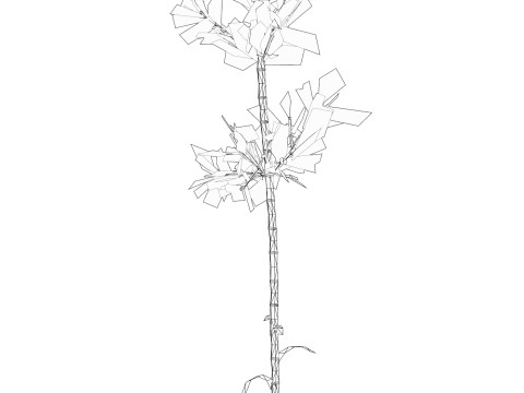 Realistic Low Poly Bamboo 07 3D 모델