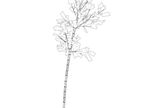 Realistic Low Poly Bamboo 08 3D 模型