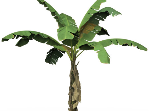 Game Ready Tree 03 Modelo 3D
