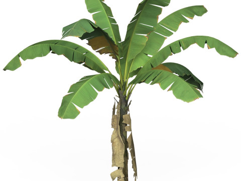 Game Ready Tree 03 Modelo 3D