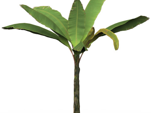 Game Ready Tree 04 Modelo 3D
