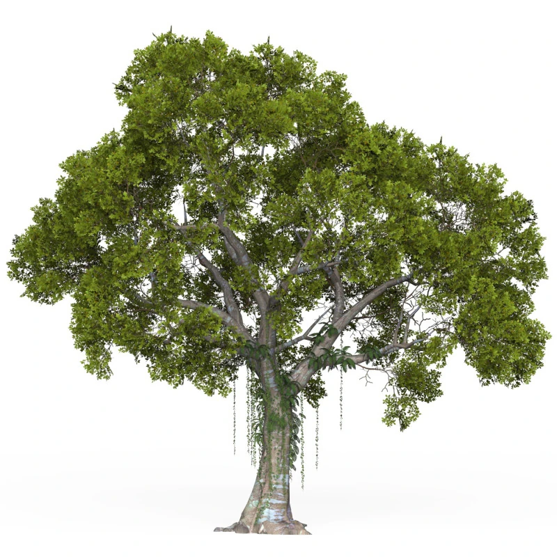 Game Ready Tree 06 3D Model .c4d .max .obj .3ds .fbx .stl .blend 