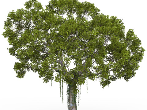 Game Ready Tree 06 3Dモデル