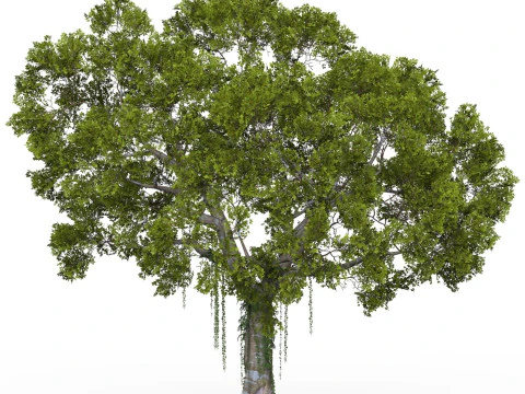 Game Ready Tree 06 3D Model