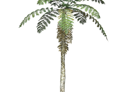 Game Ready Tree 07 3D मॉडल
