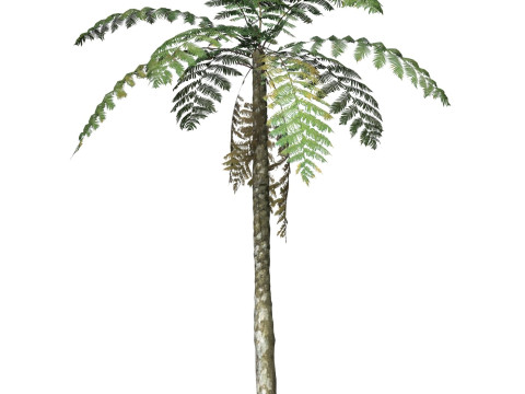 Game Ready Tree 07 Modèle 3D