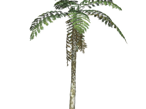 Game Ready Tree 07 Modèle 3D