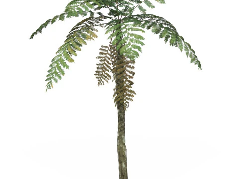 Permainan Pohon Siap 07 Model 3D