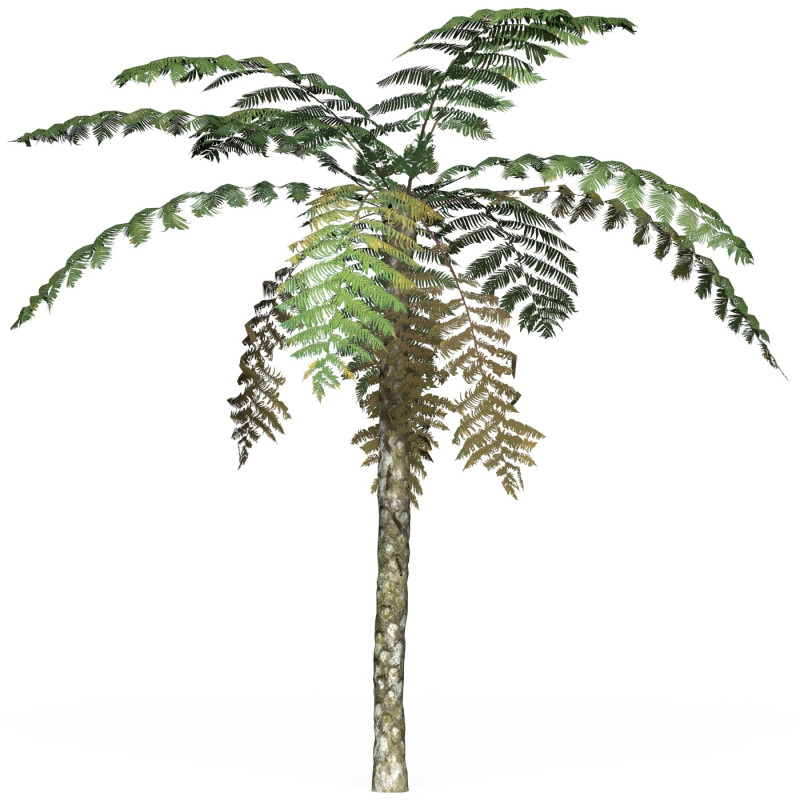 Game Ready Tree 08 3D Model .c4d .max .obj .3ds .fbx .stl .blend 