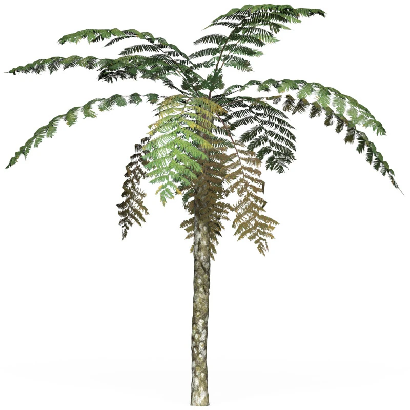 Game Ready Tree 08 3D Model .c4d .max .obj .3ds .fbx .stl .blend 