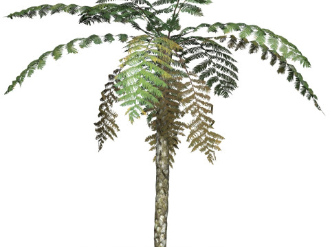Game Ready Tree 08 3D Model
