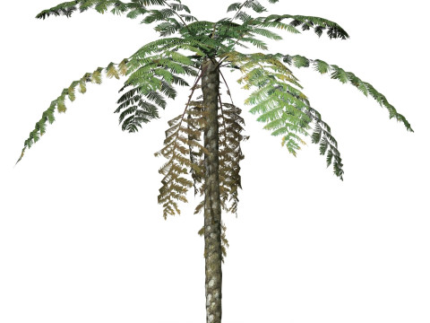 Game Ready Tree 08 3D Model