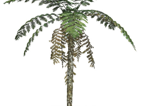 Game Ready Tree 08 3D Model