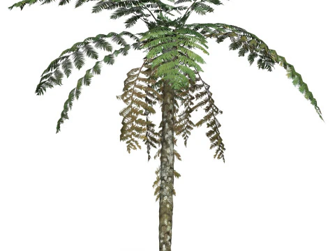 Game Ready Tree 08 3D Model