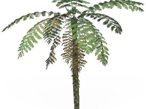 Game Ready Tree 08 3D Model