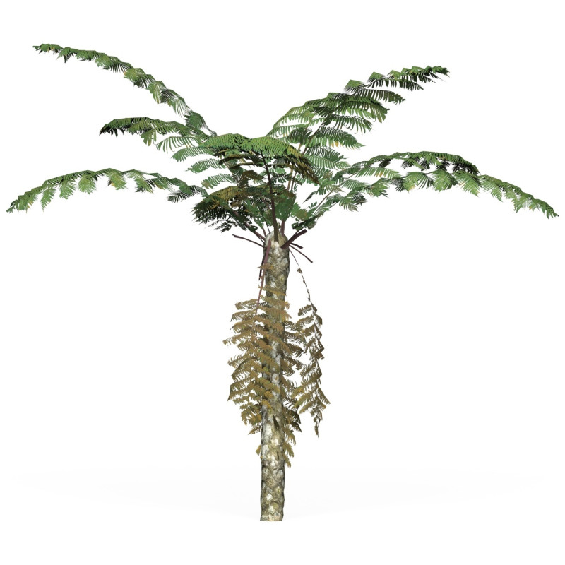 Game Ready Tree 09 3D Model .c4d .max .obj .3ds .fbx .stl .blend 