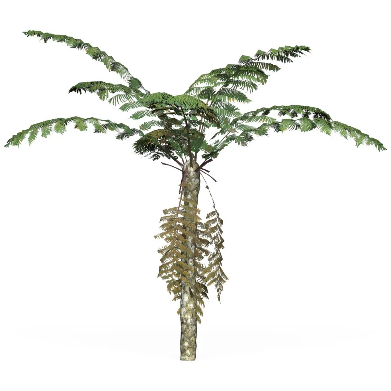 Game Ready Tree 09 3D Model .c4d .max .obj .3ds .fbx .stl .blend 
