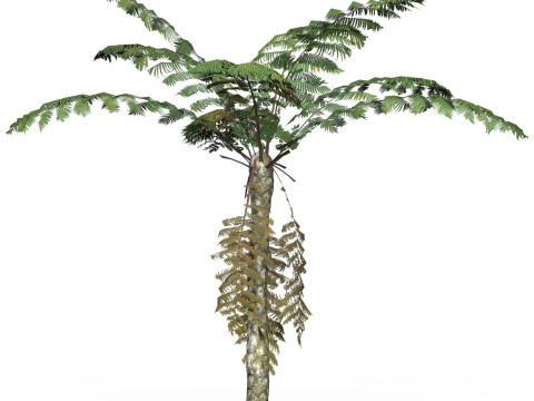 Game Ready Tree 09 3D Model