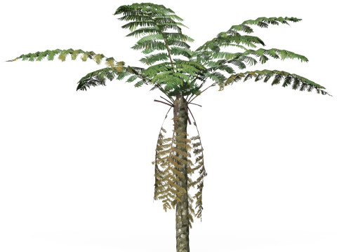 Game Ready Tree 09 3D Model