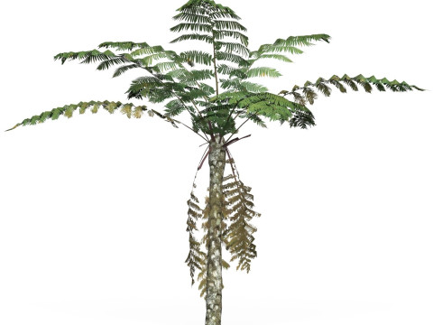 Game Ready Tree 09 3D Model