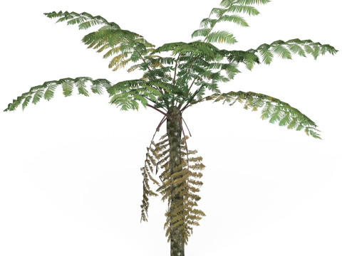 Game Ready Tree 09 3D Model