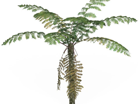 Game Ready Tree 09 3D Model