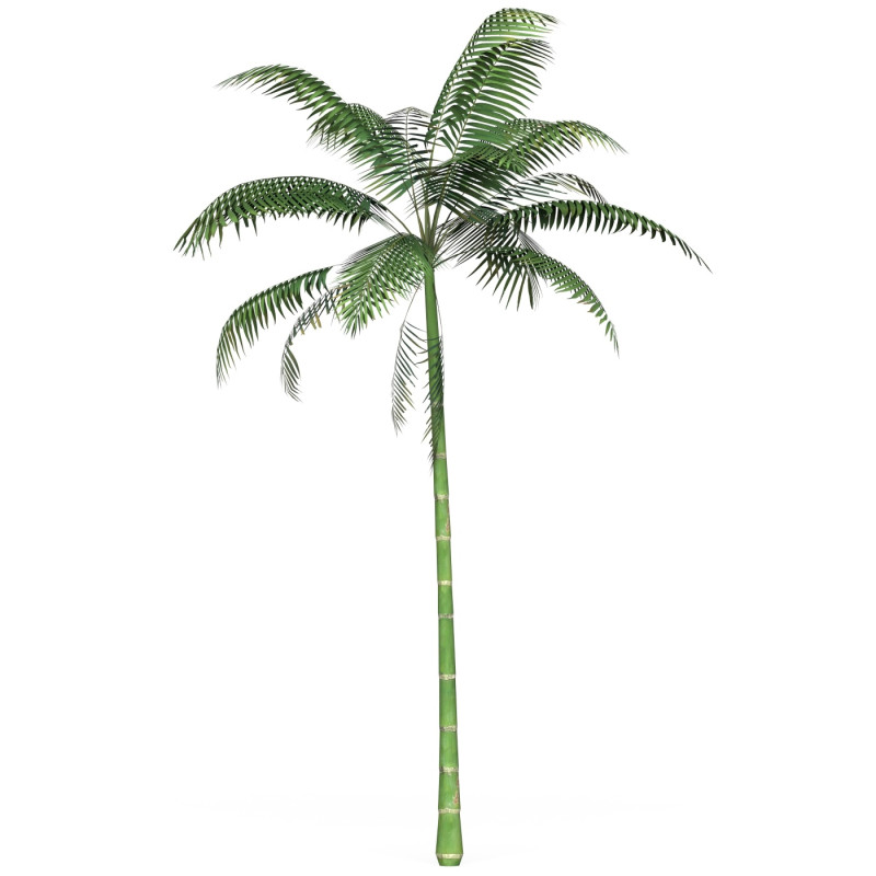 Game Ready Tree 10 Model 3D .c4d .max .obj .3ds .fbx .stl .blend 