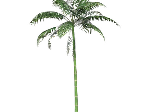 Game Ready Tree 10 3D मॉडल