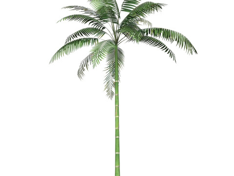 Game Ready Tree 10 Model 3D