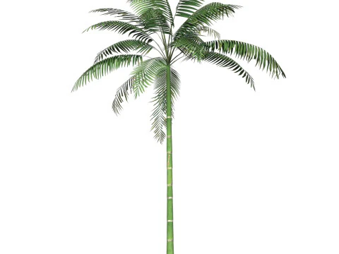 Game Ready Tree 10 3D Model