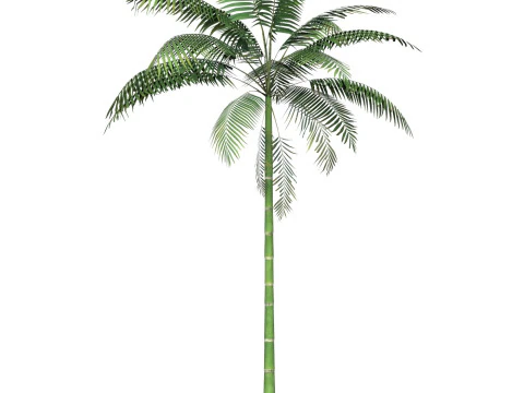 Game Ready Tree 10 3D Model