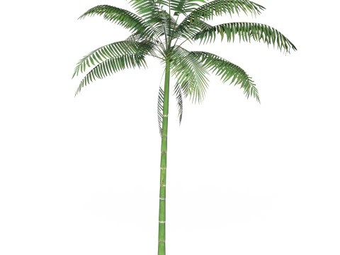 Game Ready Tree 10 3D Model