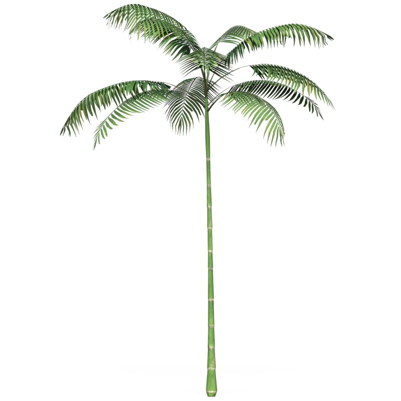 Game Ready Tree 11 Modelo 3D .c4d .max .obj .3ds .fbx .stl .blend 