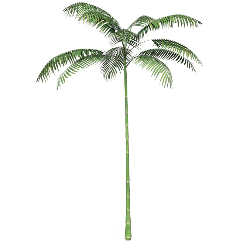 Game Ready Tree 11 3D Model .c4d .max .obj .3ds .fbx .stl .blend 