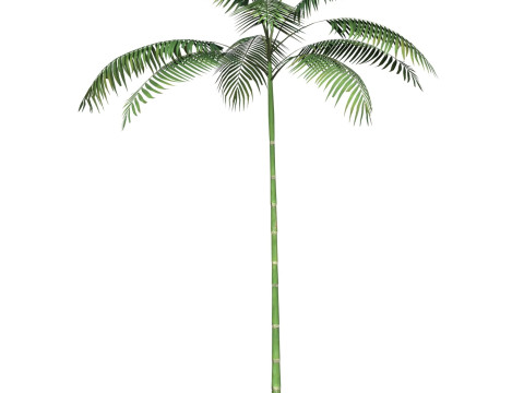 Game Ready Tree 11 3D मॉडल