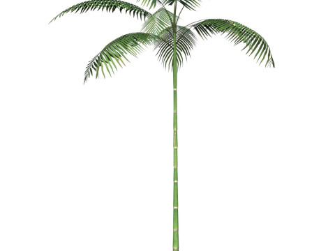 Game Ready Tree 11 Modelo 3D