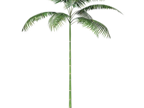 Game Ready Tree 11 Modelo 3D