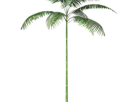 Game Ready Tree 11 3D Model