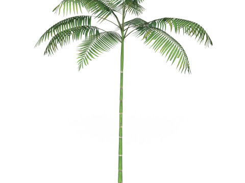 Game Ready Tree 11 Modelo 3D