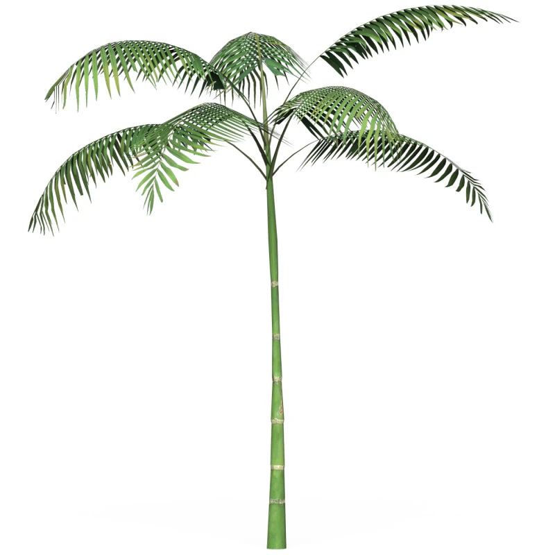 Game Ready Tree 12 3D Model .c4d .max .obj .3ds .fbx .stl .blend 