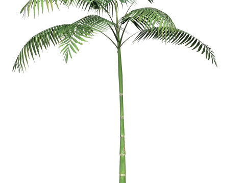 Game Ready Tree 12 3D मॉडल