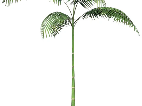 Game Ready Tree 12 3D Model