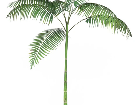 Game Ready Tree 12 3D Model
