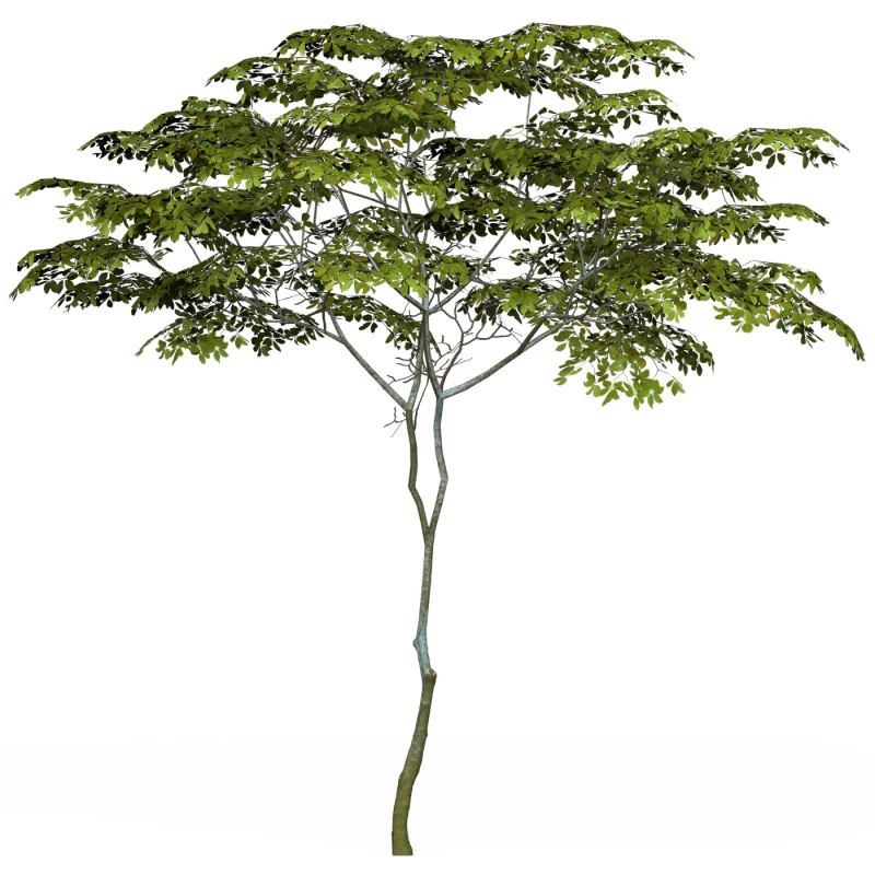Albero pronto per il gioco 13 Modello 3D .c4d .max .obj .3ds .fbx .stl .blend 