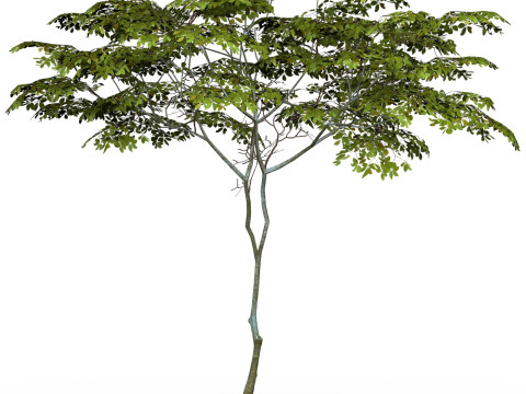 Game Ready Tree 13 3D मॉडल
