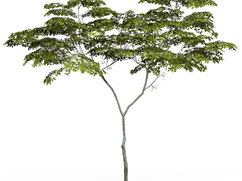 Game Ready Tree 13 3D-Modell
