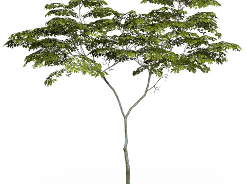 Albero pronto per il gioco 13 Modello 3D