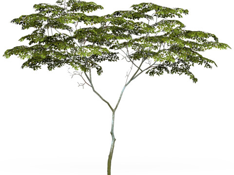 Game Ready Tree 13 3D-Modell