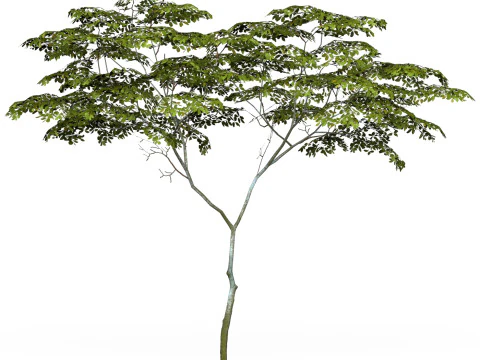 Albero pronto per il gioco 13 Modello 3D