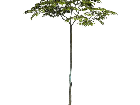 Game Ready Tree 16 3D मॉडल